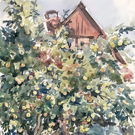 Урожайный год