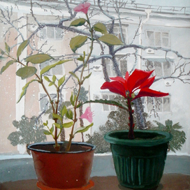 Зимний натюрморт