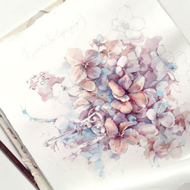 Secret Garden - Hydrangea