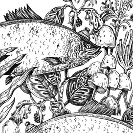 Подводные джунгли