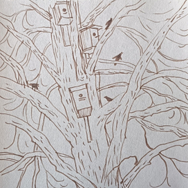 Скворцы прилетели 