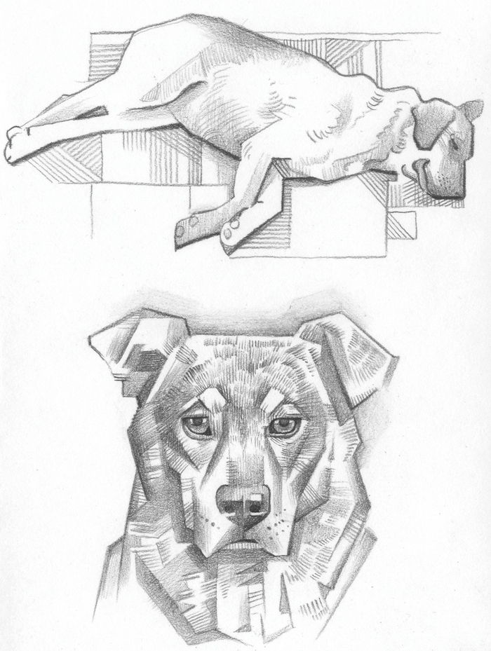 Уличный пëс