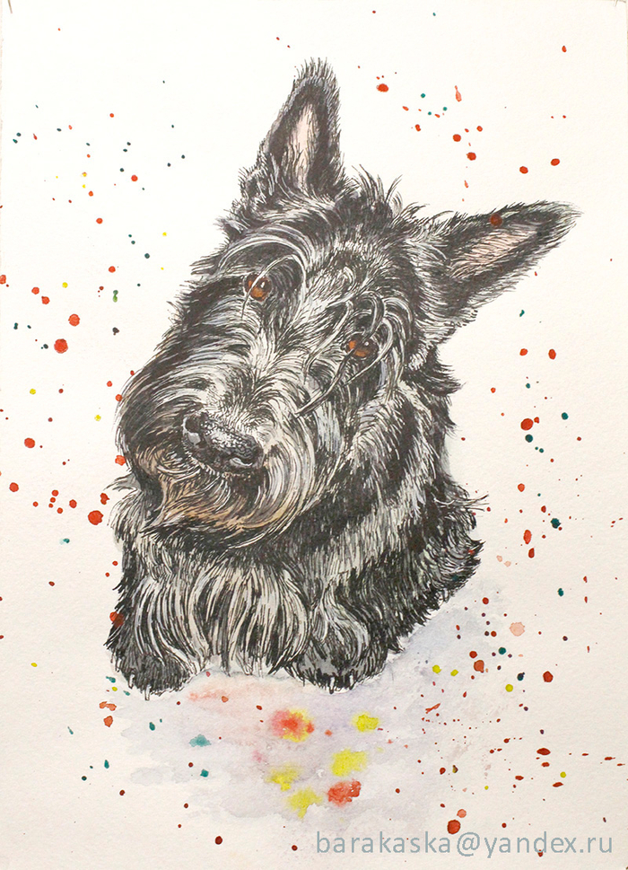 Опяааать.... год собаки.....