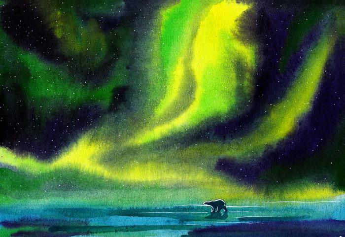 Белый медведь.