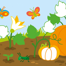 Как растёт тыква