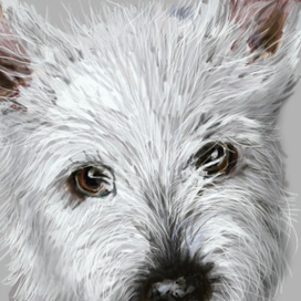 Преданность