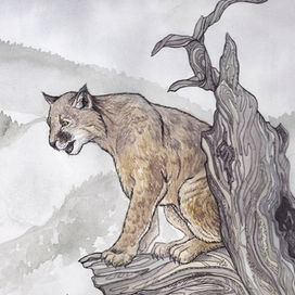 Старая Рысь