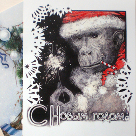 Обезьяний Дед Мороз