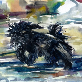 Чёрный /  Black 