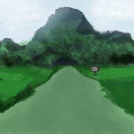 Mt.Moon