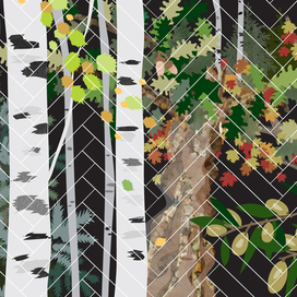 Паркет и его преимущества 