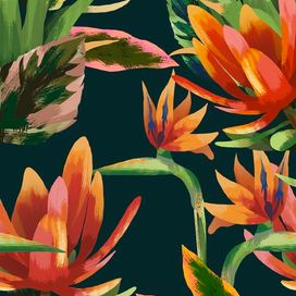 Ботаническая Иллюстрация 