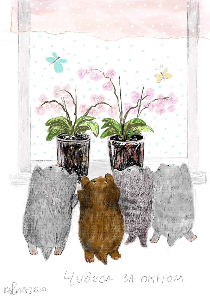 Чудеса за окошком