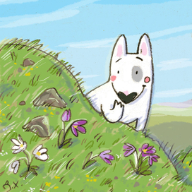 первые цветы в горах