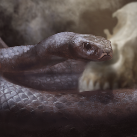 ПЕПЕЛЬНАЯ ГАДЮКА