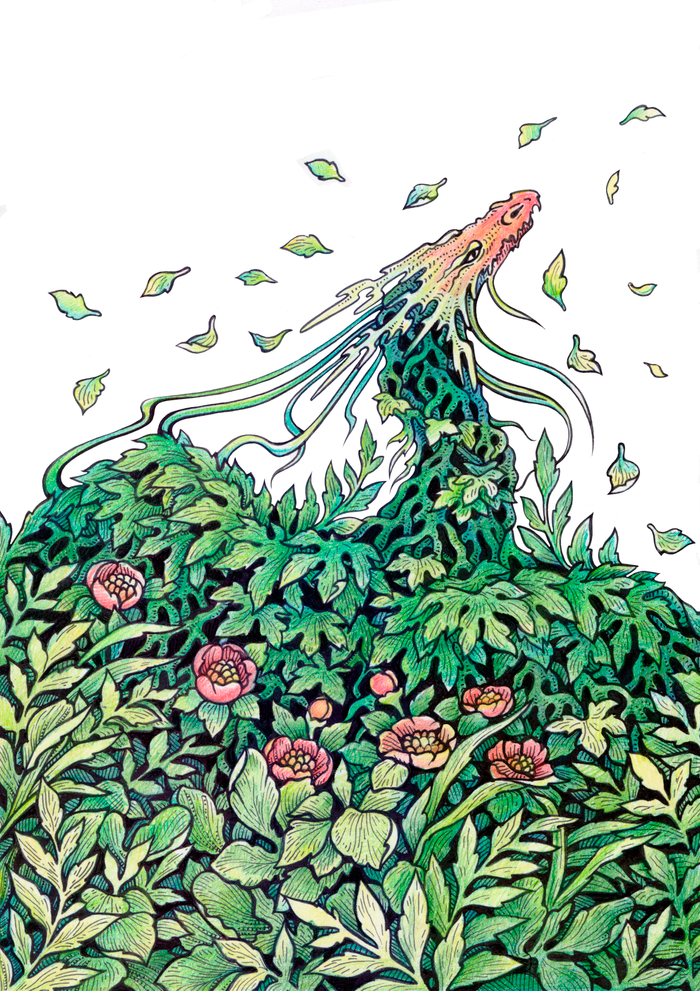 Драконье лето