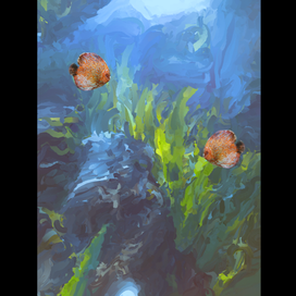 Морской мир