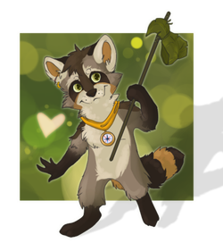 Крошка енот-путешественник