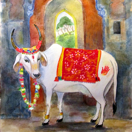 Священная корова