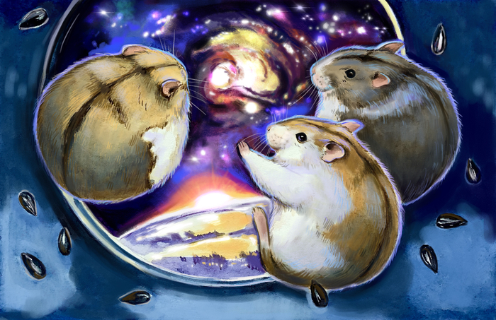 The Space Hams -2
