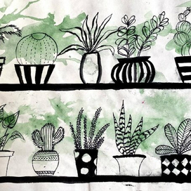 Домашние цветы