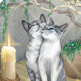 кое-что о котах...1