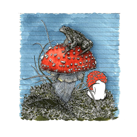 "Мистерия Мухомора"