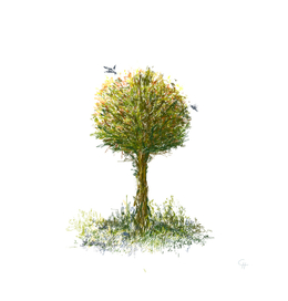 Лето где-то там...