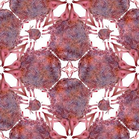 Pattern Design/ "Pink fluffy donkey" 
