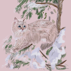 Кот в снегу