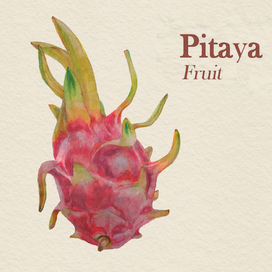 Ботаническая иллюстрация