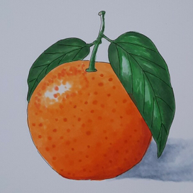 Апельсин. Маркеры