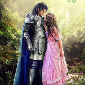 Рыцарь моего сердца