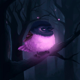 Малиновогрудая петроика