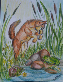 знакомство Бурана с тайгой