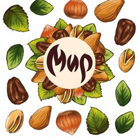 концепт-проект для компании "МИР"