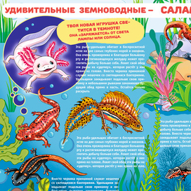 Тритоны и саламанды