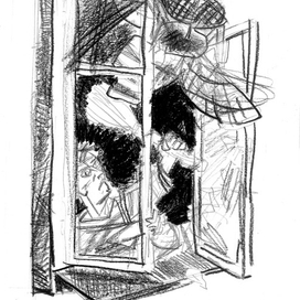 Летняя муха