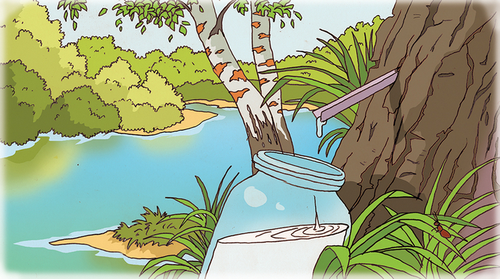 Вкус детства Д. В. Тумашов