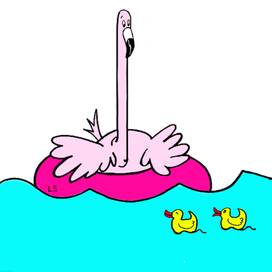 Flamingo Adventures 