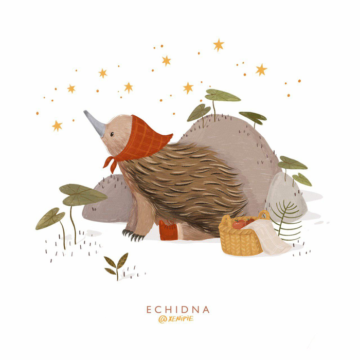Ехидна. животные алфавит