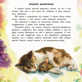 Кошкин выкормыш