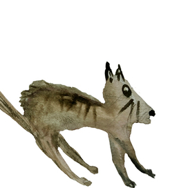 Кот забияка