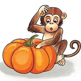 Monkey with pumpkin