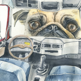 Мопс и самосвал для книги "Самосвал для Феди" Зиминой Ольги