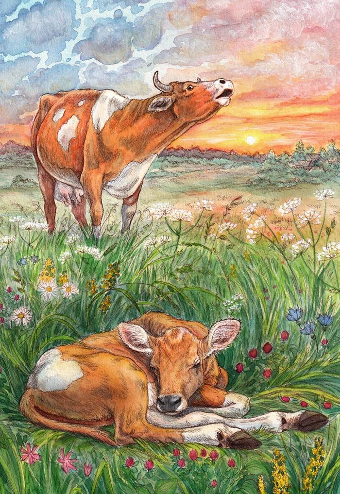 Лений вечер