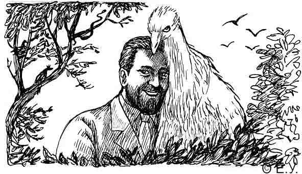 Иллюстрация к Дж. Дарреллу