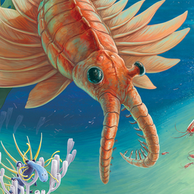 Кракозябры