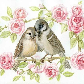 влюбленные воробышки