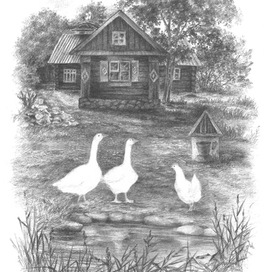 Деревня,лето,встреча у воды